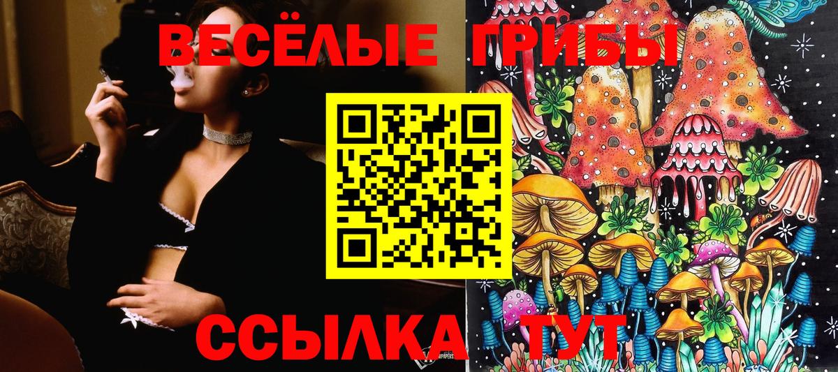 Волгоград  Галлюциногенные грибы Psilocybine cubensis  магазин продажи   Вход с VPN  Псилоцибиновые грибы GOLDEN TEACHER 