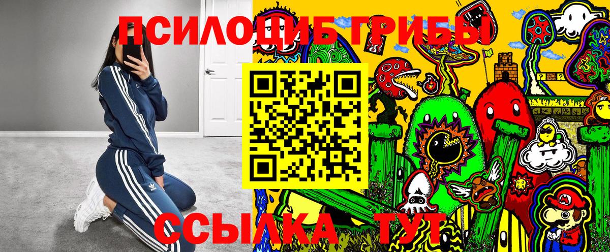Галлюциногенные грибы мухоморы Волгоград