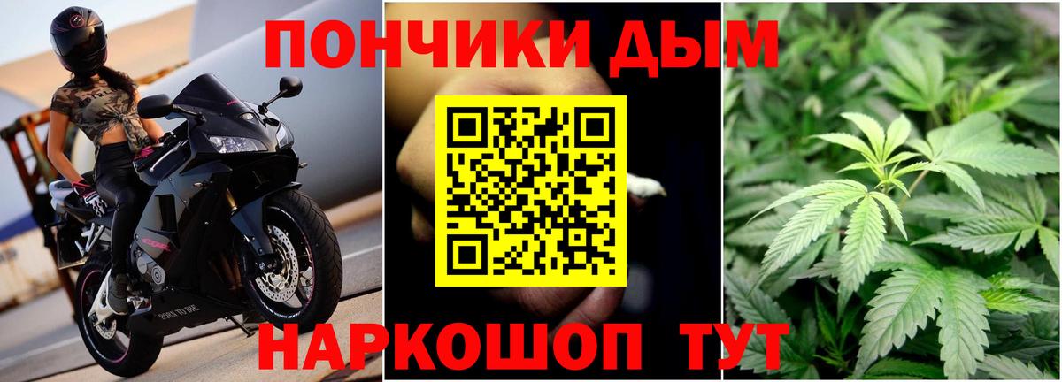 Канабис конопля Волгоград
